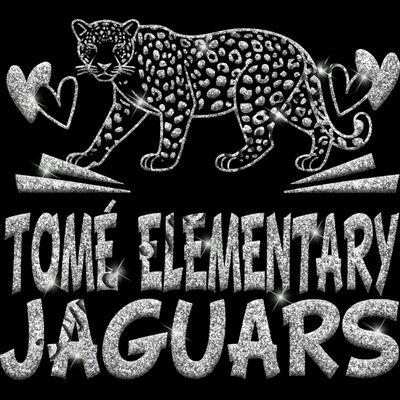 GLT88 SILVER GLITTER Thumbnail